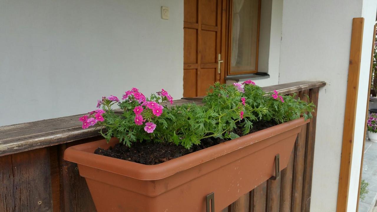 Élő Tisza Vendégház Nagykoru Exterior foto