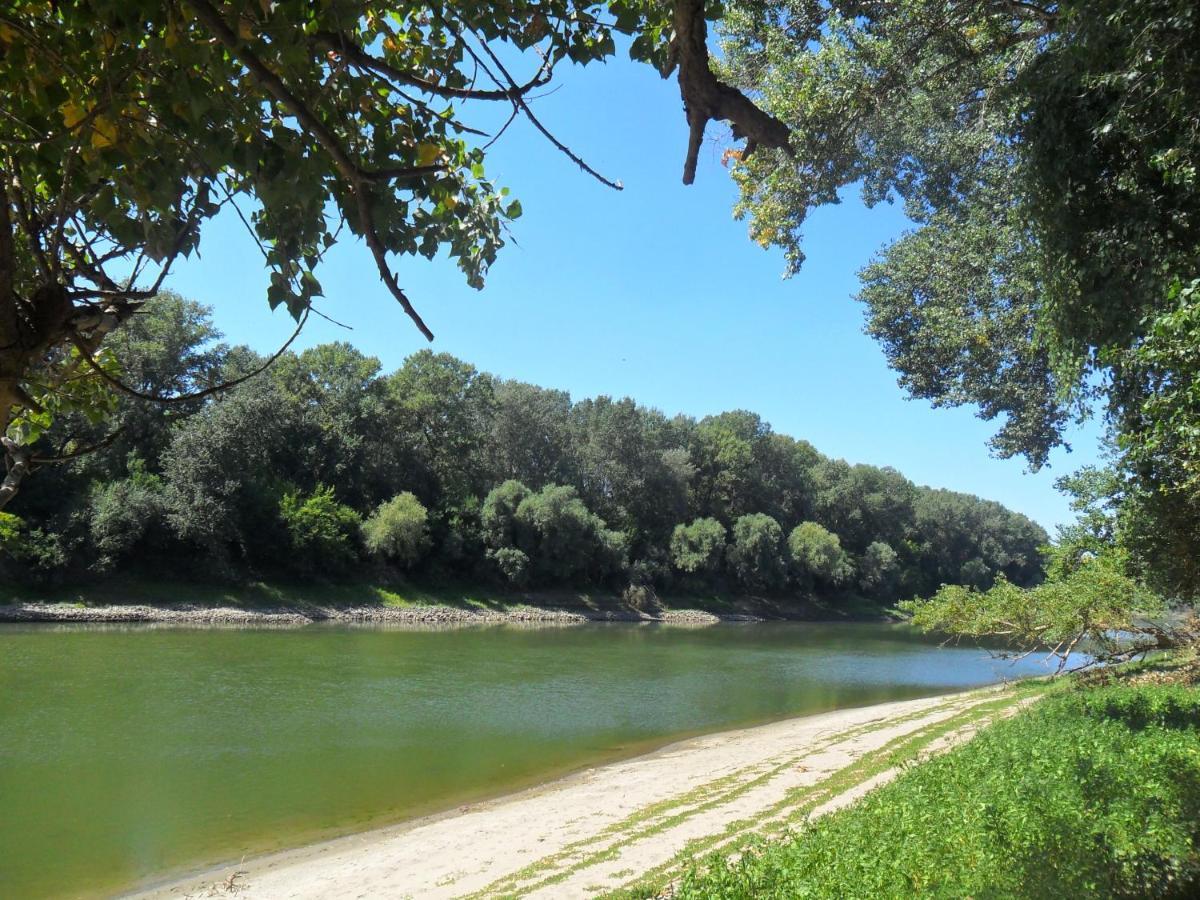 Élő Tisza Vendégház Nagykoru Exterior foto
