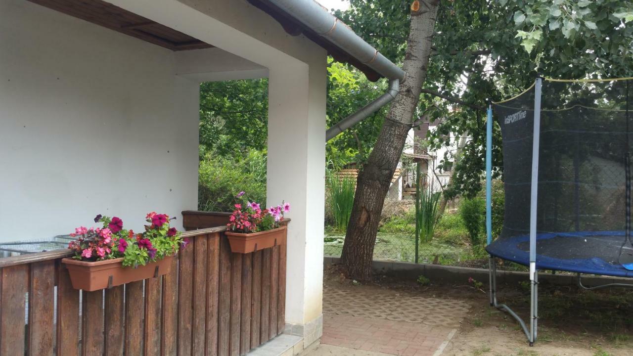 Élő Tisza Vendégház Nagykoru Exterior foto