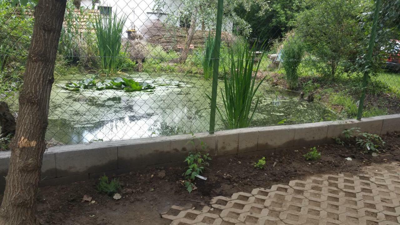 Élő Tisza Vendégház Nagykoru Exterior foto
