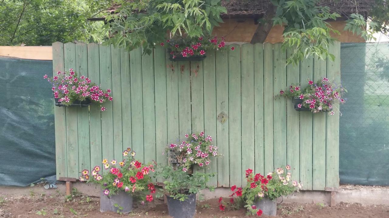 Élő Tisza Vendégház Nagykoru Exterior foto