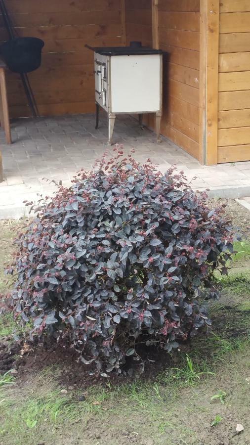 Élő Tisza Vendégház Nagykoru Exterior foto